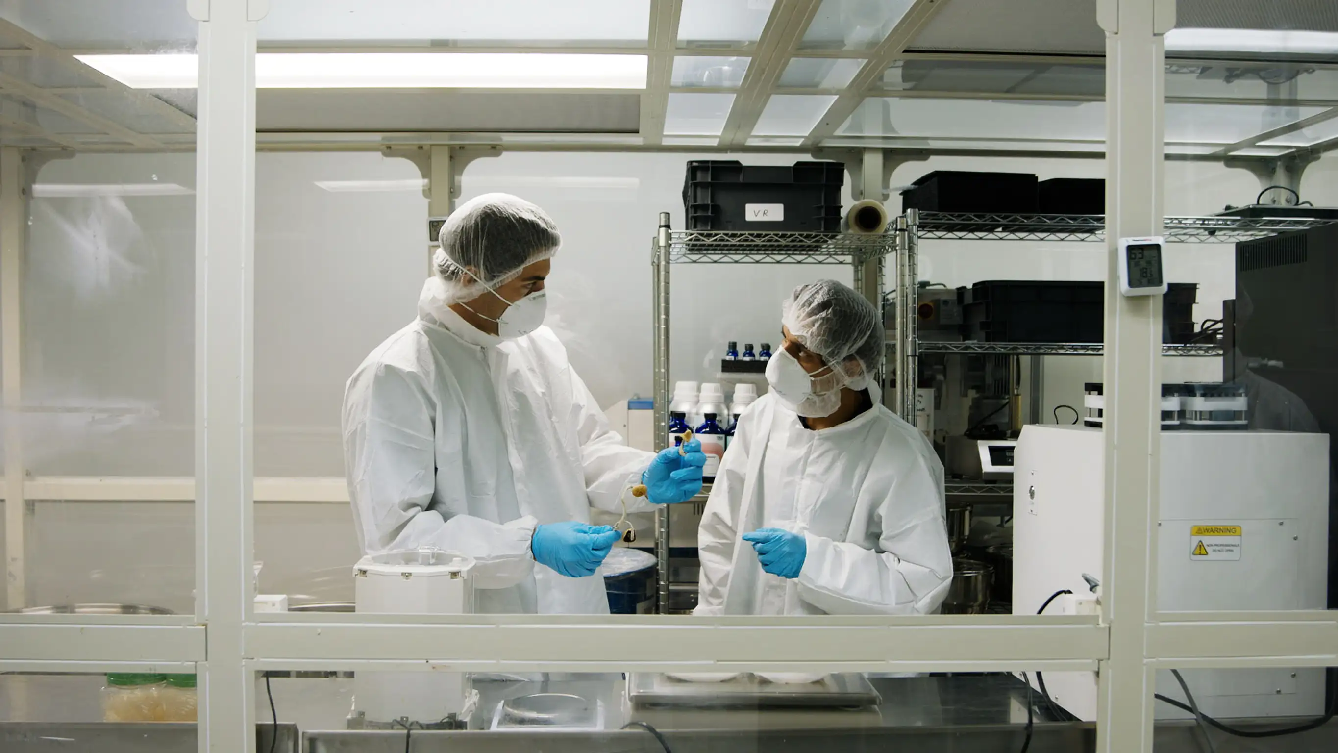 Scottish Borders steps into £250million UK cannabis medicines market with new facility