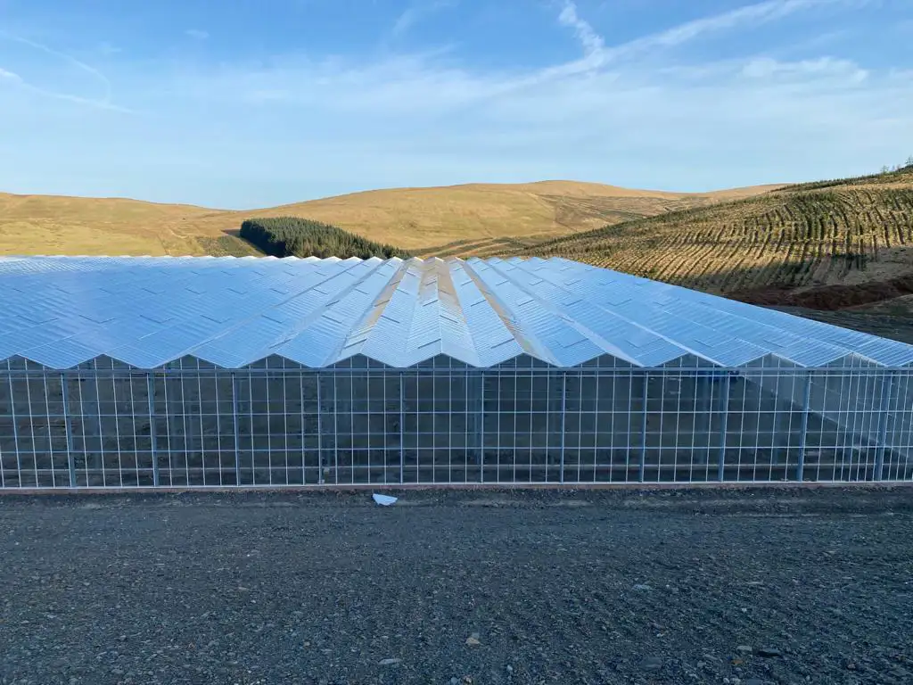 Health & Life Sciences